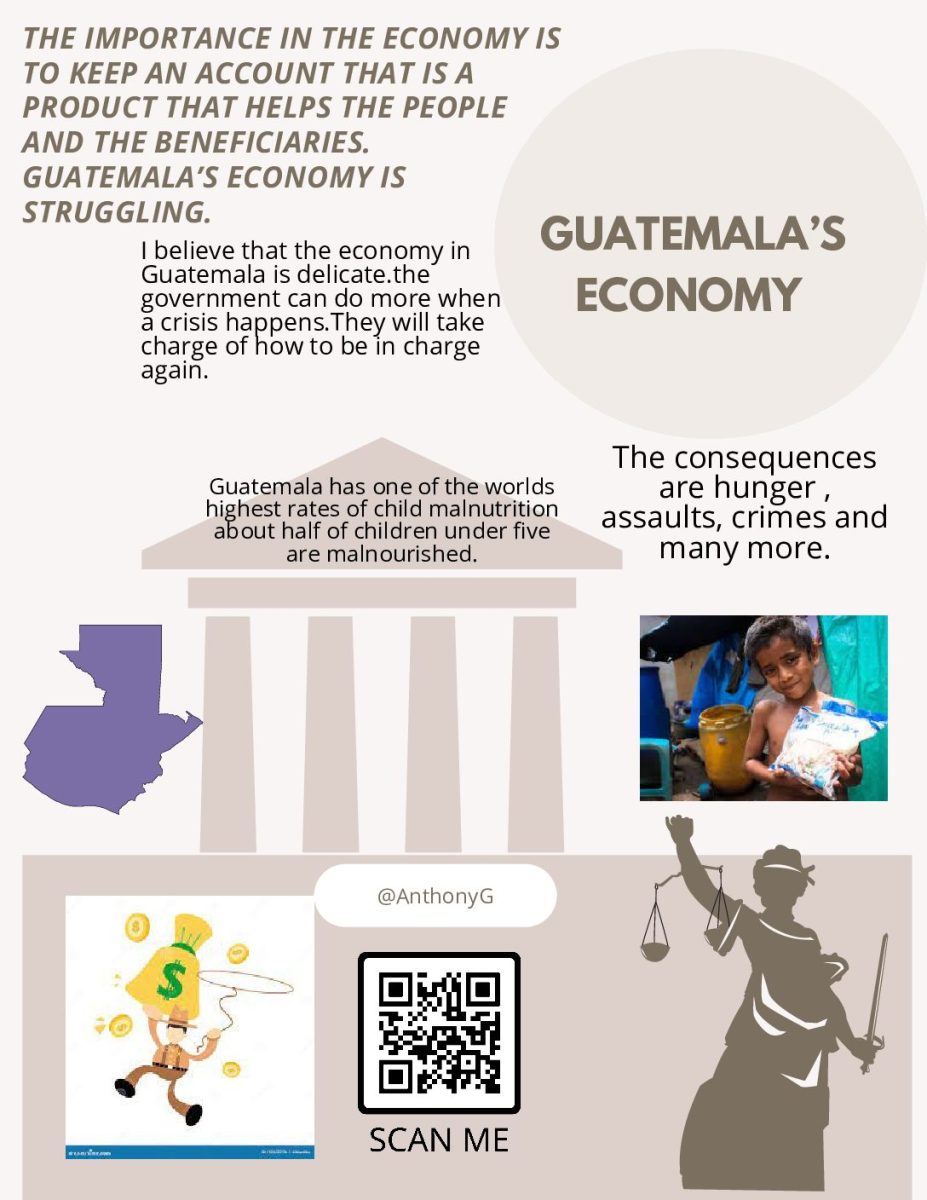 To practice civic engagement, multilingual students created infographics to raise awareness about issues that impact their home countries and the US.